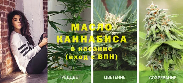 эйфоретик Осташков
